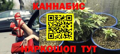 гидра Нальчик