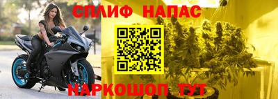 гидра Нальчик