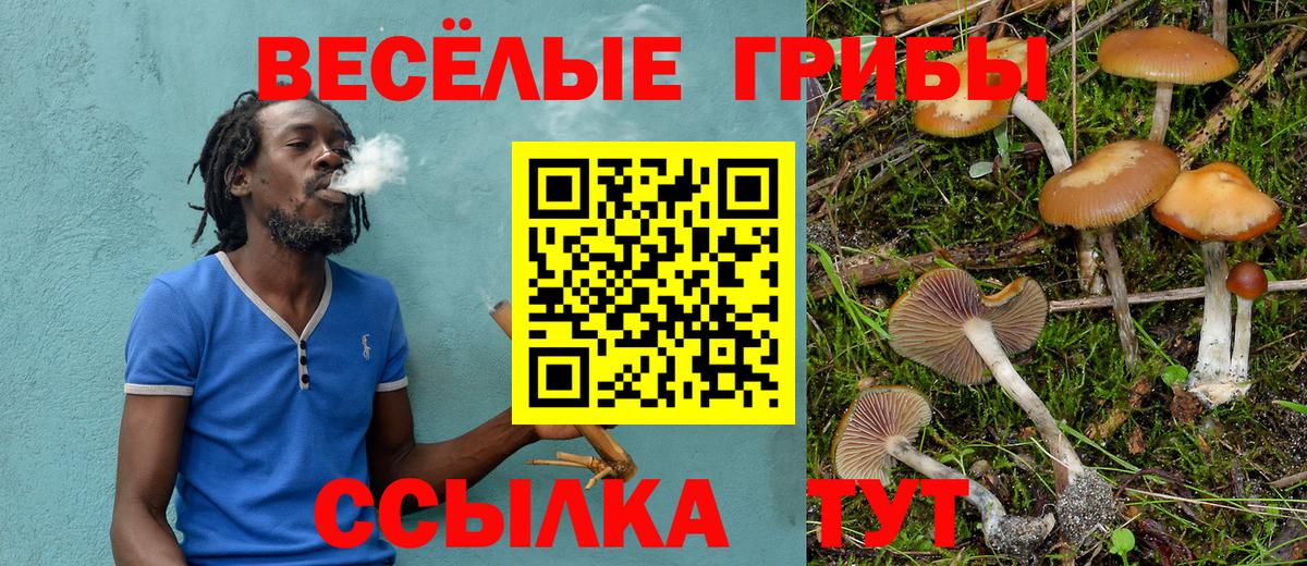 Галлюциногенные грибы ЛСД Тихорецк