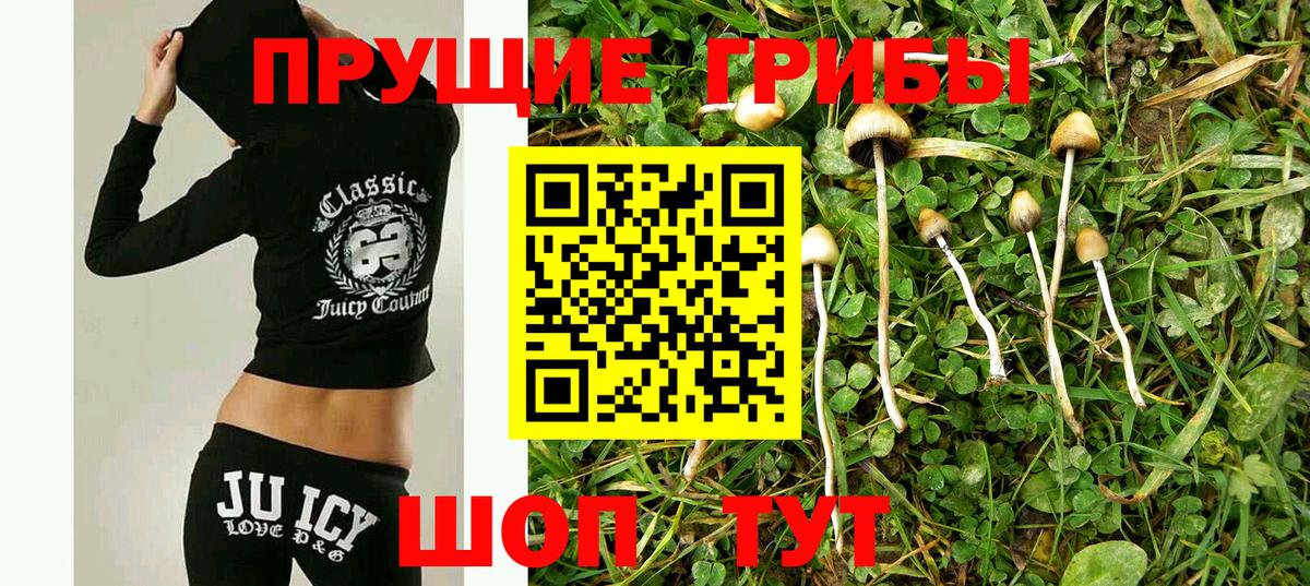 Галлюциногенные грибы ЛСД  что такое   Вход с VPN  Тихорецк  Галлюциногенные грибы Magic Shrooms 